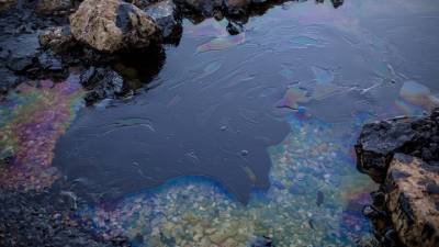 В Оби и Колве обнаружены нефтепродукты, а в Артемовке – мертвая рыба