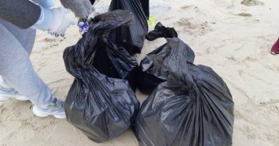 На Куршской косе волонтёры очистили от мусора 13 км побережья (фото)