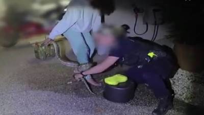 Австралийка, не сумевшая снять питона с ноги, обратилась в полицию. Видео