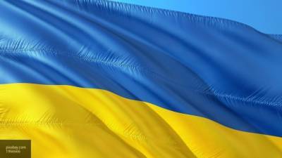 Бывший украинский министр посоветовала Зеленскому навести порядок в стране