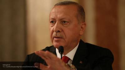 Эрдоган уверен, что Россия, США и Франция поставляют вооружение Армении