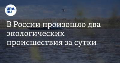 В России произошло два экологических происшествия за сутки. Видео