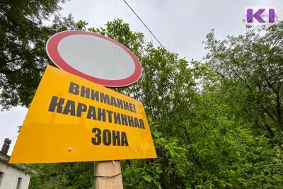 В Коми жителям Мыелдино запретили покидать село из-за коронавируса