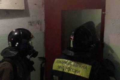 Пожарные Ковровского гарнизона спасли на пожаре двух человек
