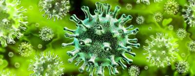 Турция сообщила о втором пике пандемии коронавируса в стране