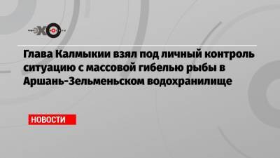 Глава Калмыкии взял под личный контроль ситуацию с массовой гибелью рыбы в Аршань-Зельменьском водохранилище