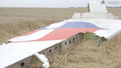 Немецкие читатели поддержали выход России из консультаций по MH17