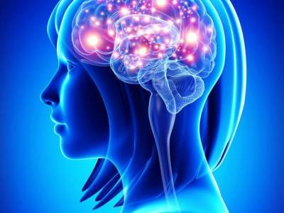 Улучшить работу мозга и способность запоминать новую информацию можно с помощью спорта - нейробиологи