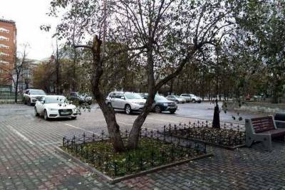 В центре Красноярска вырубили розовые яблони