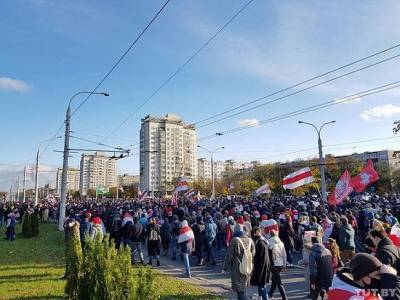 В Беларуси начали стрелять в демонстрантов
