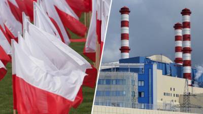 Дональд Трамп - Анджей Дуды - Дэн Бруйетт - Энергетический обмен: как Польша рассчитывает построить АЭС при поддержке США - russian.rt.com - США - Польша - Таллин