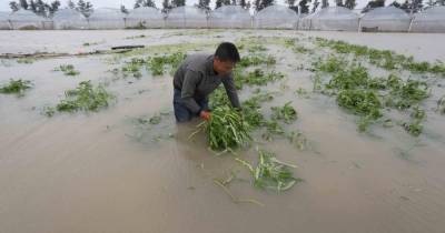 Наводнение во Вьетнаме унесло жизни 90 человек