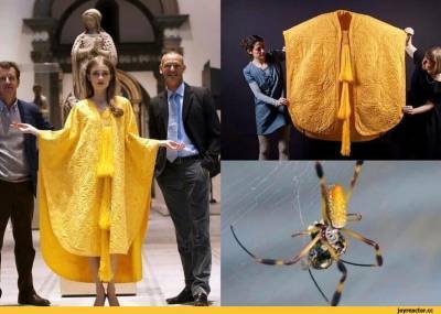 Дизайнеры создали золоту шаль из миллиона пауков