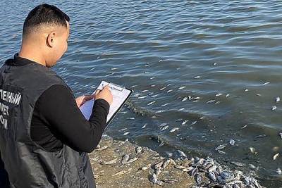 Глава Калмыкии взял на контроль ситуацию с гибелью рыбы в водохранилище