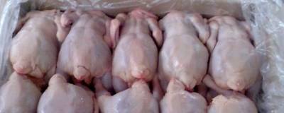 На Сахалине в мясе цыплят нашли сальмонеллу