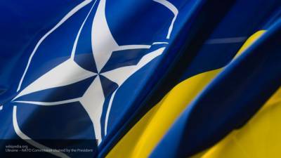 Депутат Рады: США могут превратить Украину в поле боя