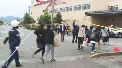 Дикий медведь проник в торговый центр в Японии