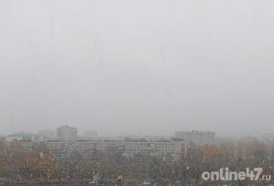 В Ленобласти и Петербурге выпал первый снег