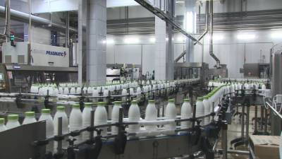 Экспорт белорусской молочной продукции растёт