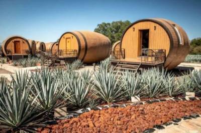 Мексиканцы предлагают отдых в гигантской бочке, устроившейся среди плантаций агавы
