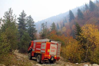 Лесной пожар в Сванетии локализован