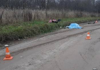 В Вашкинском районе водитель скрылся, совершив смертельное ДТП