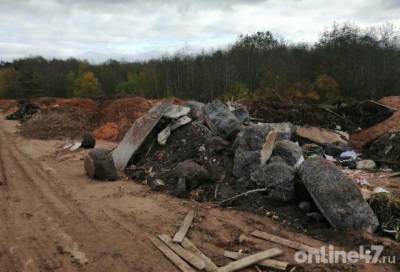 Неизвестные вывалили пять тысяч «кубов» строительного мусора на дороге под Гатчиной