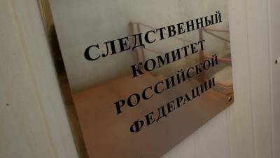 Уголовное дело возбудили против инспектора ПДН после убийств под Нижним Новгородом