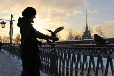Синоптик рассказал, когда в Петербург придет настоящая зима