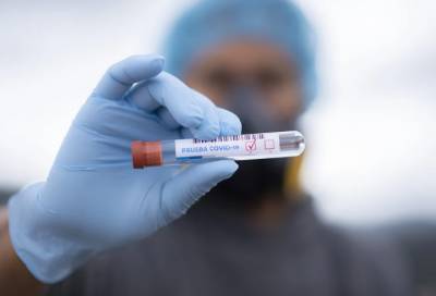 В 14 районах Ленобласти выявили за сутки 101 новый случай коронавируса
