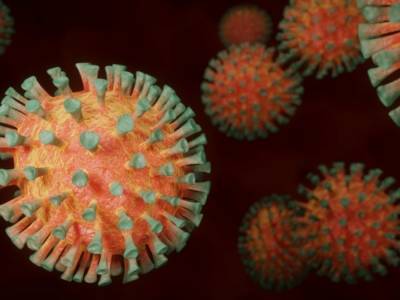 Американские ученые обнаружили уязвимое место коронавирусов