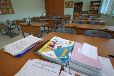 Платформа для удаленных занятий в московских школах рухнула в первый же день дистанционной учебы
