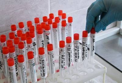Число заразившихся коронавирусом в Центральной России превысило 161 тыс. человек