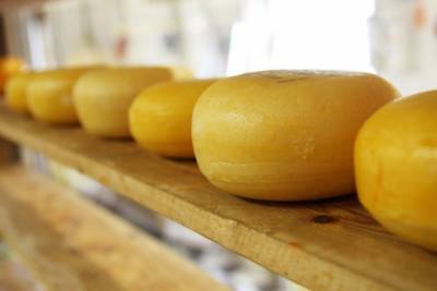 Конкурировать все сложнее: в Украине импорт сыра в 10 раз превзошел экспорт