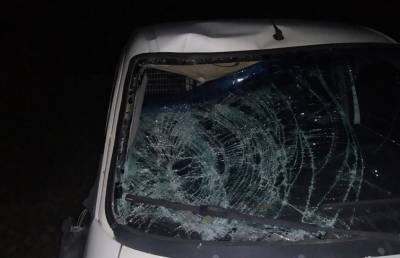 Автомобиль сбил пешехода на проезжей части в Логойском районе: мужчина умер
