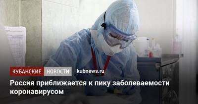 Россия приближается к пику заболеваемости коронавирусом