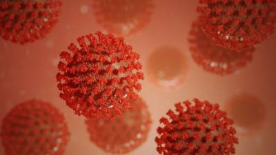 Ученые обнаружили у коронавирусов новое слабое место