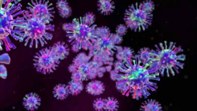 Вирус, вирус, ты могуч – как укрепить иммунитет