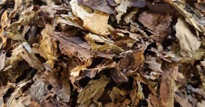VID предотвратил контрабанду 13,5 тонны табачных листьев