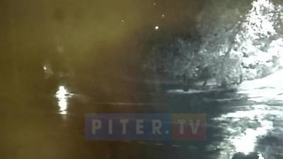 Видео: "Лада" свернула с проезжей части в сквер в Сестрорецке
