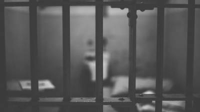 Многодетный костромич приговорен к 13 годам тюрьмы за педофилию