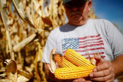 Вашингтон выплатит рекордную сумму фермерам, которые из-за Трампа лишились доходов