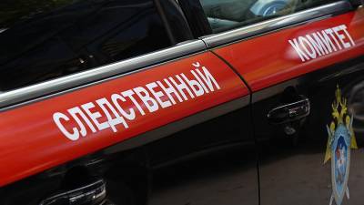 В Москве задержали опекуна по подозрению в истязании ребенка