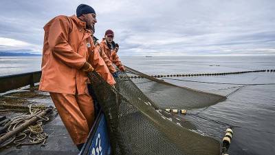 Путин заявил о ритмичной работе рыбной отрасли в России