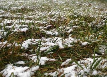 Скоро в Башкирии образуется временный снежный покров