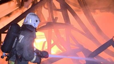 Спасатели назвали возможные причины ночного пожара на обувном складе в Воронеже