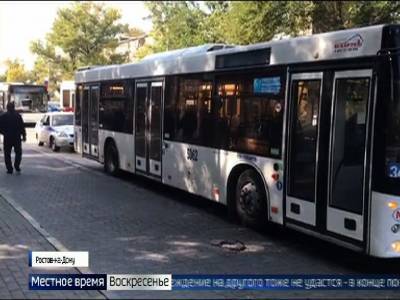 В Ростове хотят создать инспекцию для контроля работы общественного транспорта