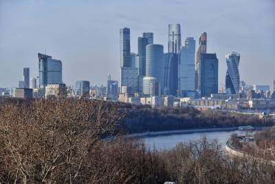 Свыше 85 тыс консультаций провели власти Москвы для малого и среднего бизнеса