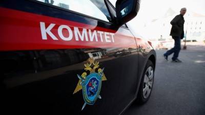 В Москве задержан подозреваемый в истязании приемной четырехлетней дочери мужчина