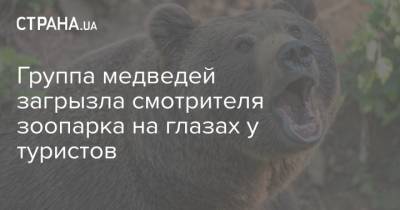 Группа медведей загрызла смотрителя зоопарка на глазах у туристов